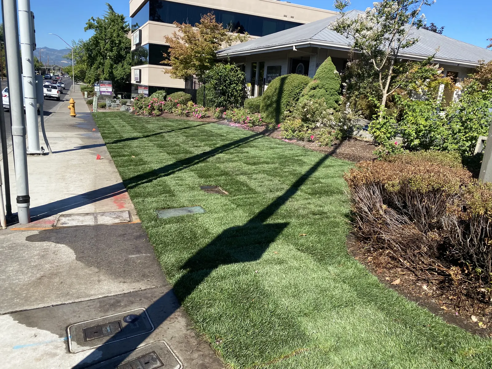 Commercial turf installation completed by Element