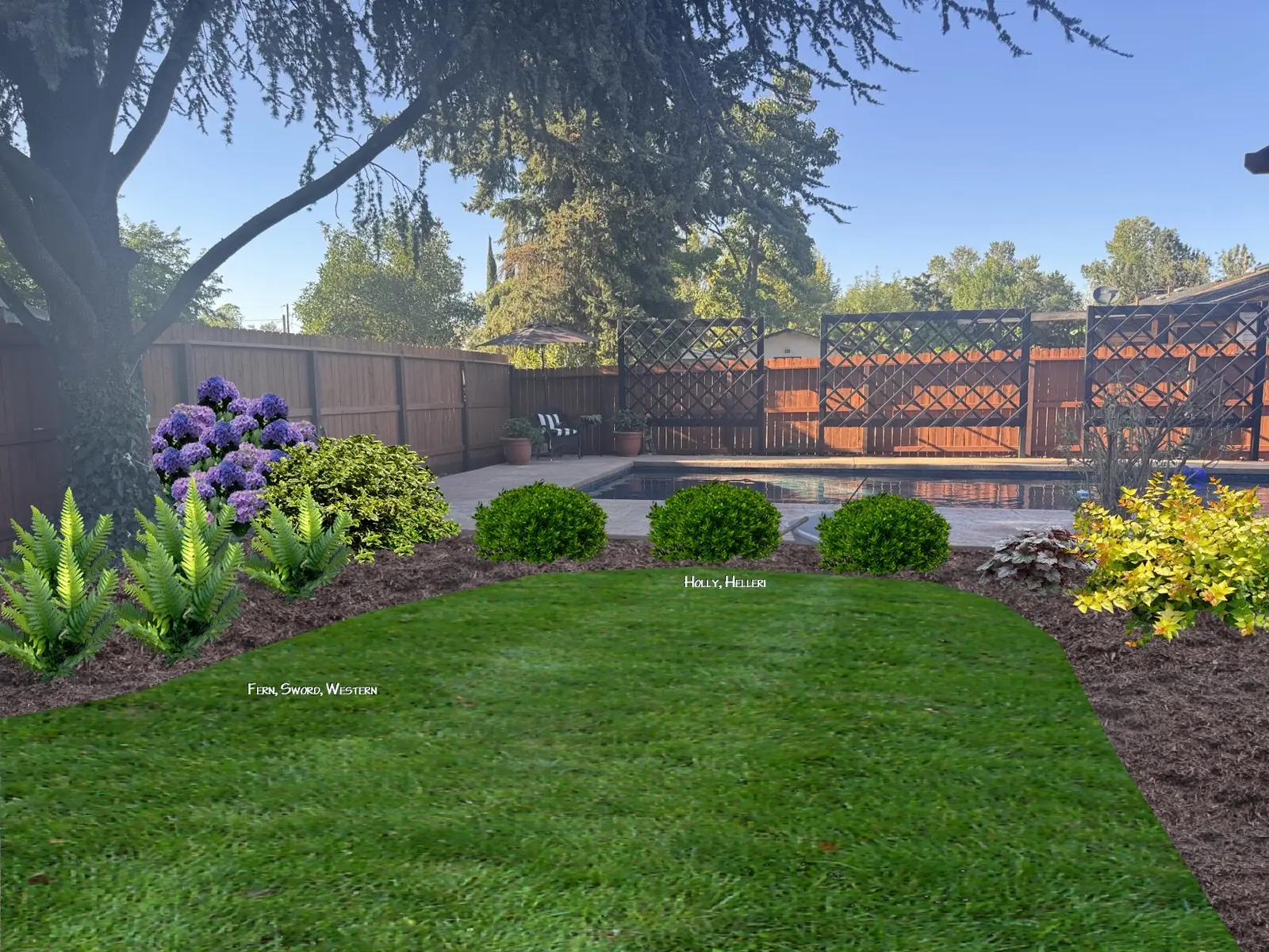 Finished backyard lawn and landscape by Element Finished backyard lawn and landscape by Element