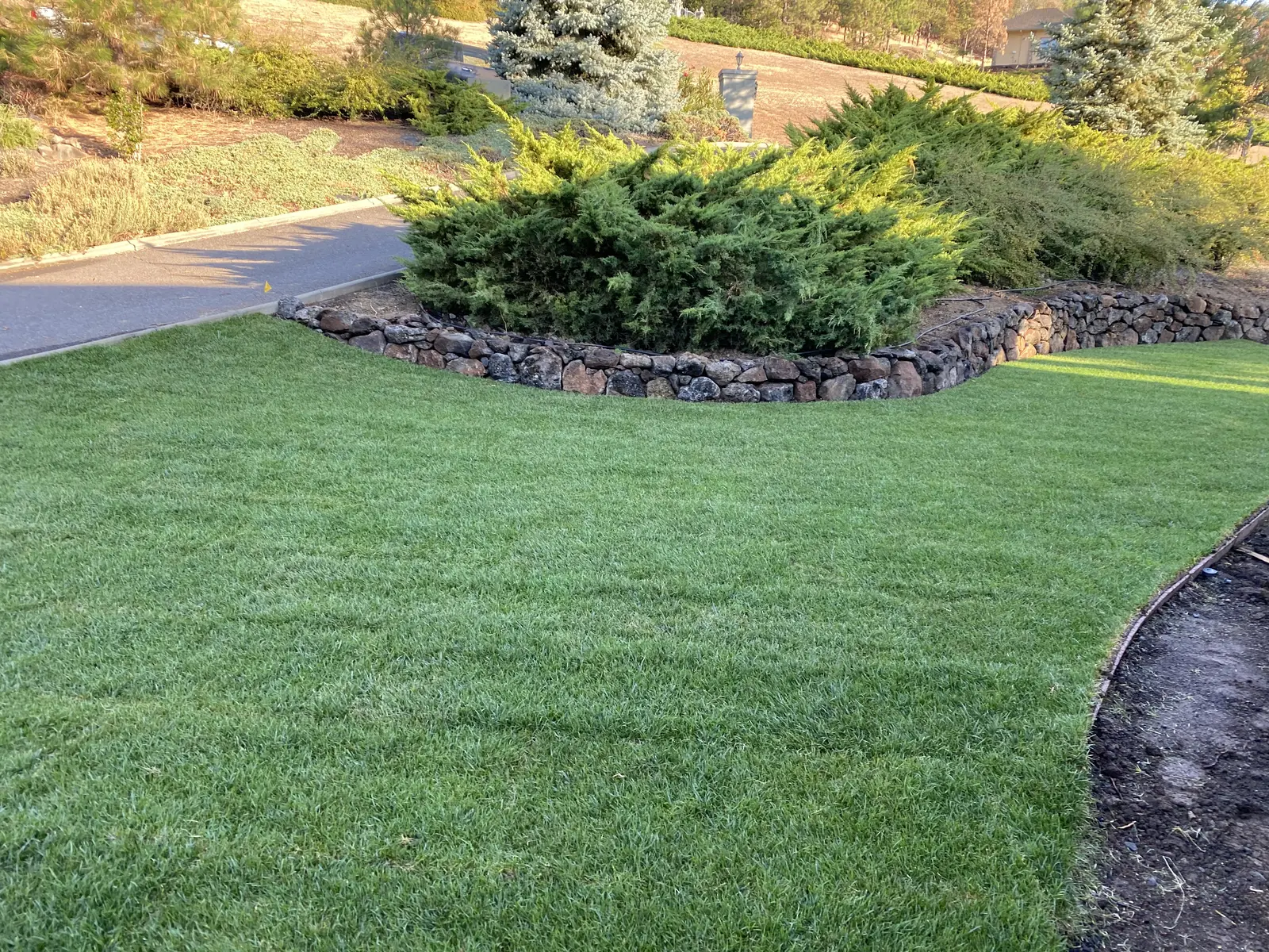 Finished curved lawn beside a retaining wall
