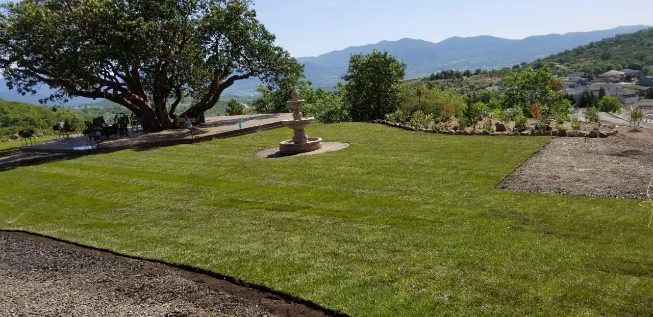 Large lawn and fountain landscape completed by Element