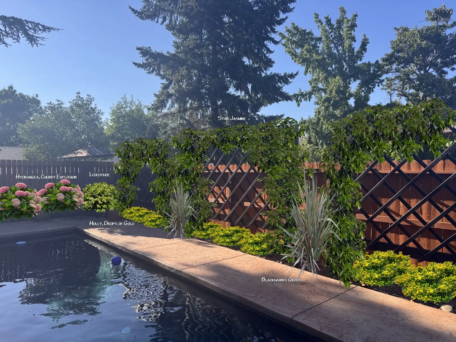 Pool border planting with decorative trellis